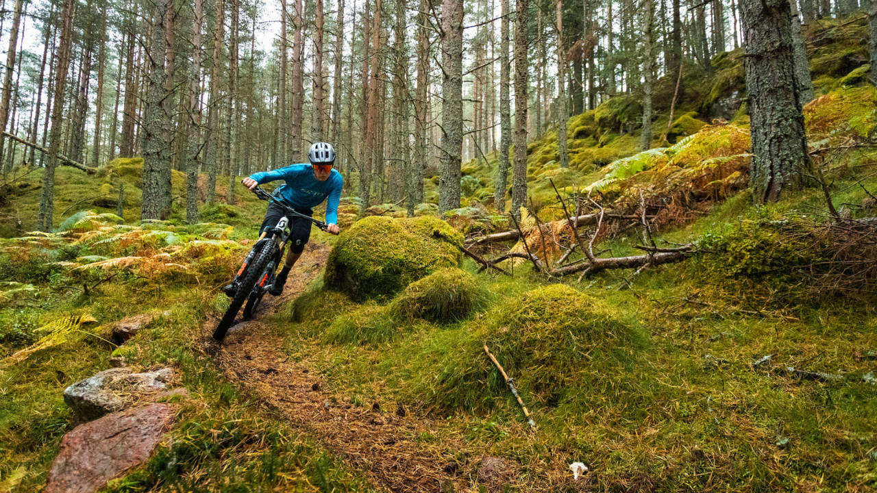 HBR Aboyne